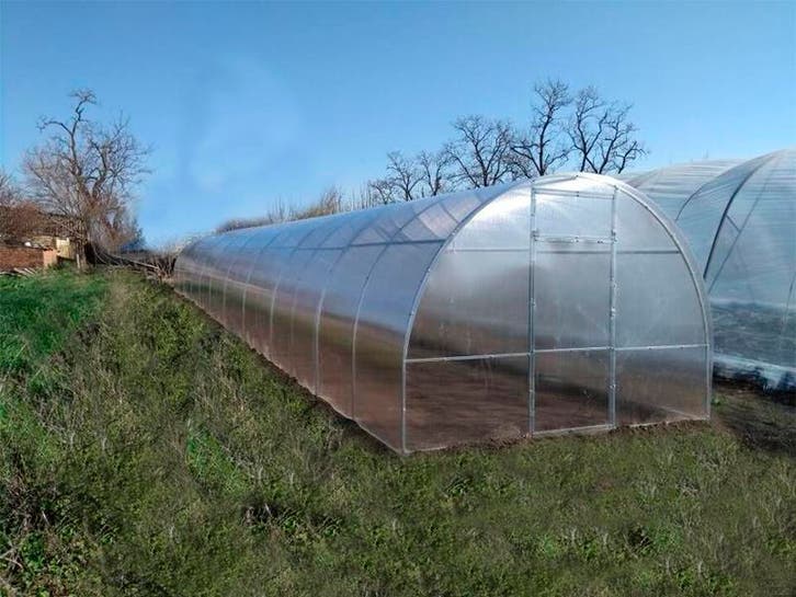 Serre, tuinkas met polycarbonaat 3m*12m*2m, Jardin & Terrasse, Stockage & Armoires de jardin, Enlèvement ou Envoi