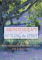 Aromatherapy for Healing the Spirit 9780892818877, Verzenden, Gabriel Mojay