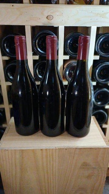2013 2014 & 2015 Domaine Coquard-Loison-Fleurot - Grands
