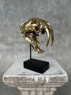 Statue, NO RESERVE PRICE - Saber Tooth Tiger Skull -