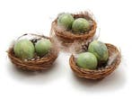Vogelnestjes met 2 kwarteleitjes en veertjes matcha groen 7, Nieuw
