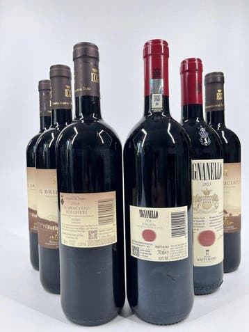 Marchesi Antinori, Tignanello 2023 e Tenuta Guado al Tasso -