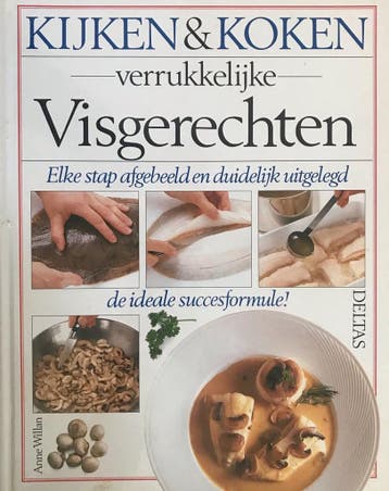 Verrukkelijke visgerechten / Kijken & koken 9789024355204, Boeken, Kookboeken, Verzenden, Gelezen, A. Willan