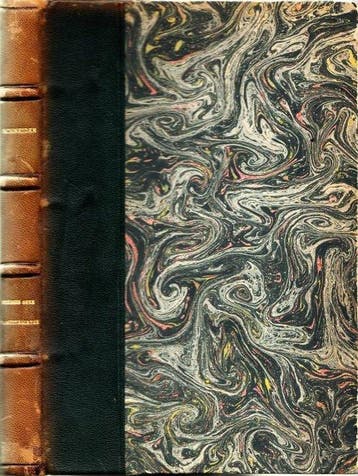 Kurt Schneider - Persönlichkeit und Schicksal von