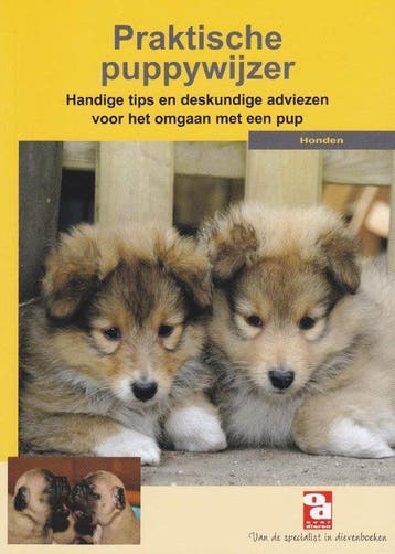Over Dieren - Dieren, Verzenden, Nieuw