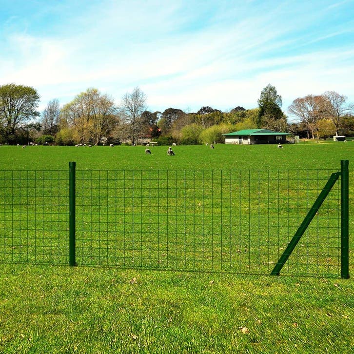 vidaXL Euro hek 25x0,8 m staal groen, Tuin en Terras, Tuinhekken en Hekwerk, Nieuw, Verzenden