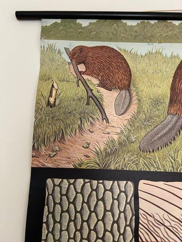 Jung-Koch-Quentell - Hagemann - Bever - Années 1970, Antiquités & Art, Art | Dessins & Photographie
