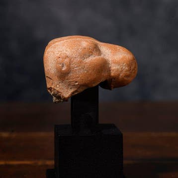 Oost-Romaans hoofd van een terracotta-kameelfragment - 4 cm