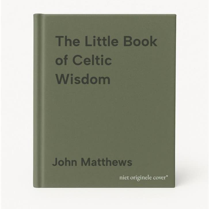 The Little Book of Celtic Wisdom 9781843331162 John Matthews, Boeken, Taal | Engels, Gelezen, Verzenden