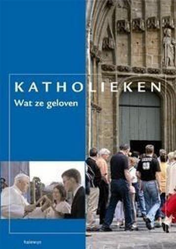 Katholieken 9789085283904 Van der Johan, Verzenden, Gelezen, Van der Johan