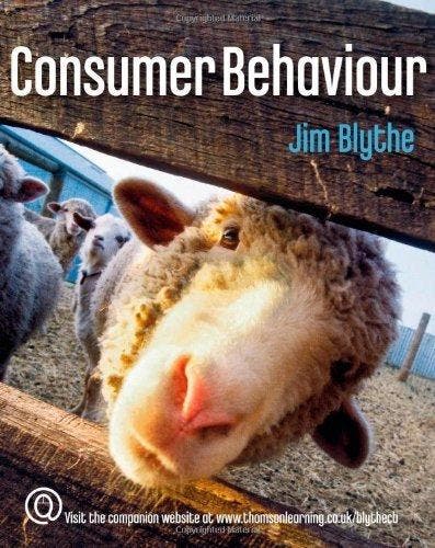 Consumer Behaviour 9781844803811 Jim Blythe, Boeken, Taal | Engels, Gelezen, Verzenden