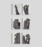 N. Magro - Collectables: “ Six bold cacti (in black):
