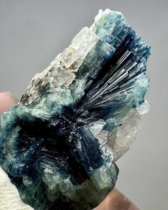 Tourmaline) Kristalcluster - Hoogte: 31 mm - Breedte: 26 mm-, Verzamelen, Mineralen en Fossielen