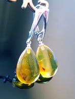 Natuurlijke Baltische barnsteenoorbellen met fossiel