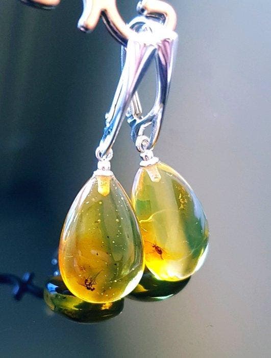 Natuurlijke Baltische barnsteenoorbellen met fossiel, Verzamelen, Mineralen en Fossielen