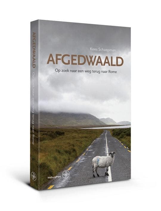 Afgedwaald 9789057309946 Kees Schaepman, Boeken, Literatuur, Gelezen, Verzenden