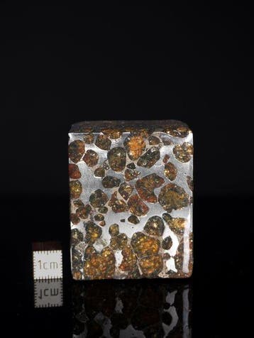 Sericho meteoriet Pallasiet - 258 g - (1), Verzamelen, Mineralen en Fossielen