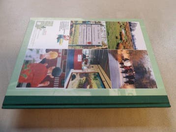 Suske en Wiske - Het Rijmende Paard - Kalmthout uitgave -, Boeken, Stripverhalen, Nieuw