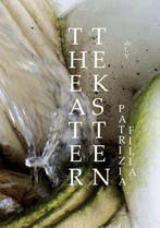 Theaterteksten 9789082623260 Patrizia Filia, Verzenden, Patrizia Filia