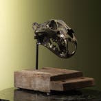 Tijger Schedel Replica Taxidermie Opgezette Dieren By Max, Ophalen of Verzenden, Nieuw, Wild dier, Opgezet dier