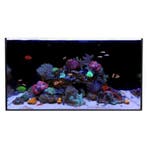 Waterbox ALL-IN-ONE 50.3 (los aquarium), Verzenden