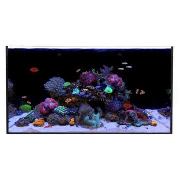 Waterbox ALL-IN-ONE 50.3 (los aquarium), Verzenden, Nieuw