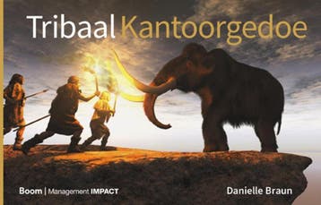 Tribaal kantoorgedoe 9789462763845 Danielle Braun, Livres, Verzenden, Danielle Braun