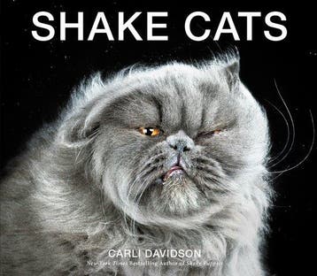 Shake Cats 9780062351746 Carli Davidson, Verzenden, Carli Davidson