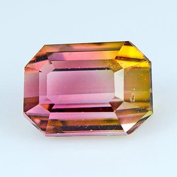 Sans prix de réserve Bicolore, Rose, Vert, Jaune Tourmaline, Nieuw