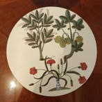 Lady Clare - Onderbord (6) - Hout, Textiel