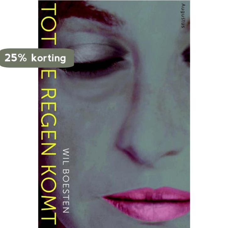 Tot de regen komt 9789045704579 Will Boesten, Livres, Romans, Envoi