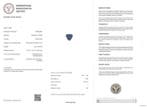 Bleu Tanzanite - 4.25 ct - International Gemological, Nieuw