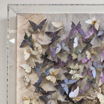 Mike Blackarts - Textured 3D Butterfly Relief in Acrylic