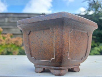 Bonsai schaal - 14x14x8cm - Hoogte (boom): 0 cm - Diepte