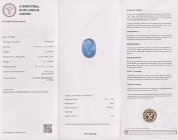 1 pcs Bleu Saphir - 1.04 ct - International Gemological