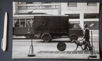 Federico Patellani (1911-1977) - Dog,Milan