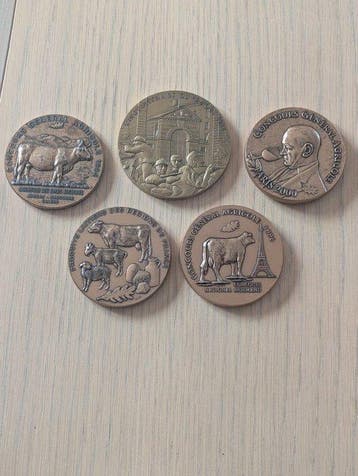 Frankrijk. Lot de 17 médailles variées (Zonder minimumprijs)