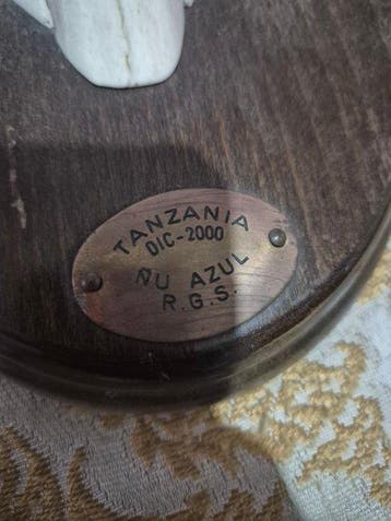 Wanddecoratie (2) - Tanzania - Schedel met hoorns van een, Verzamelen, Nieuw