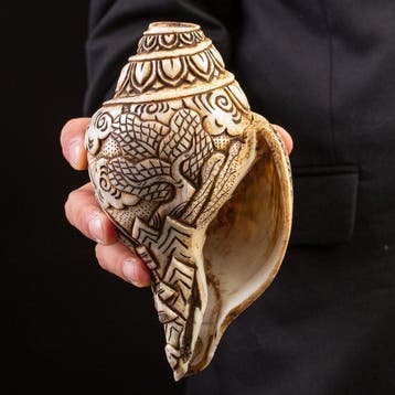 Heilige Tibetaanse schelpen: Shankha. Zeeschelp -