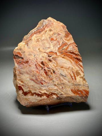 Kona Dolomiet Stromatoliet – 2,2 miljard jaar oud - Fossiele