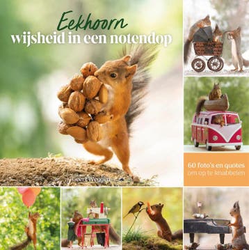Eekhoorn 9789043931755 Geert Weggen, Boeken, Verzenden, Zo goed als nieuw, Geert Weggen