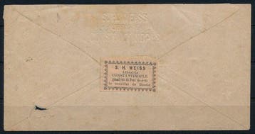 Duitse Buitenlandspostkantoor - Turkije 1876 - 20 Pfg., Gestempeld