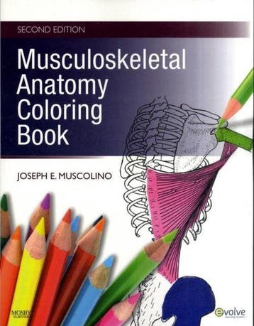 Musculoskeletal Anatomy Coloring Book 9780323057219, Verzenden, Joseph Muscolino