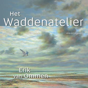 Het Waddenatelier 9789050114509 Wilma Brinkhof, Livres, Verzenden, Wilma Brinkhof