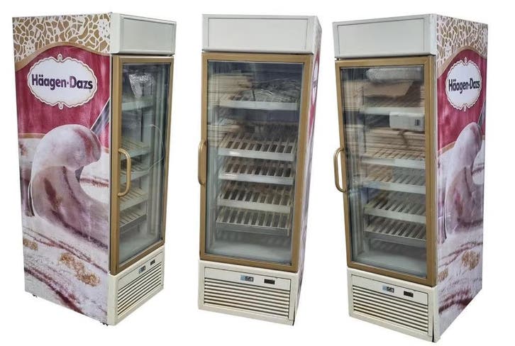 Congélateur vitrine  porte vitrée LED professionnel horeca, Zakelijke goederen, Horeca | Food