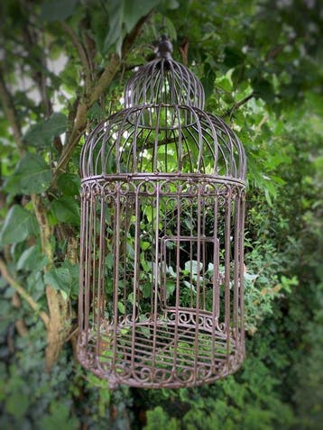 Cage à oiseaux - Métal