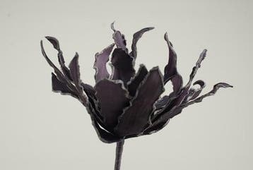 Cactus Ziggo Dark Purple Foam