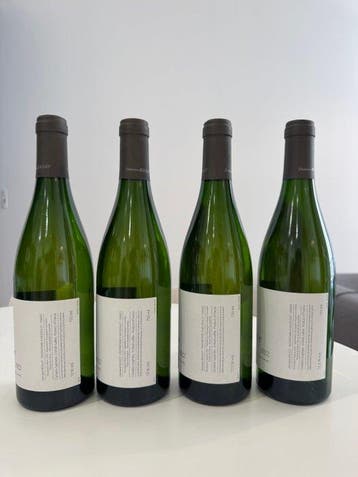 2022 x 2 Domaine Roulot Bourgogne Aligoté & x 2 Bourgogne, Nieuw