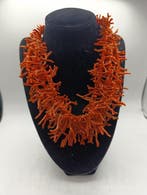 Koraal - Koraalketting Sciacca Mediterraneo-Afrika -