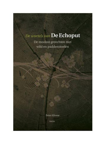 De wortels van de Echoput 9789043909525 Peter Klosse, Verzenden, Gelezen, Peter Klosse